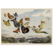 Richard Doyle illustration for Fairyland. The Fairy Queen in her carriage driven by butterflies.