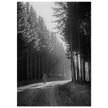 World War 2 poster. American soldier walking along forest near Bastogne .