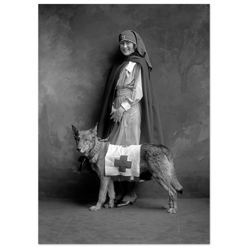 Red Cross nurse with dog poster reproduction by Harris & Ewing 1915-1918