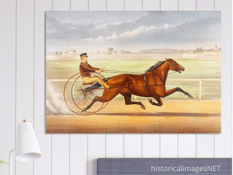 Harness horse racing lithograph. Mr. Bonner's Horse Joe Elliott by John Cameron.