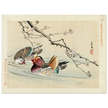 Two ducks by Matsumura Keibun, 1892.