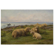 Sheep by the Sea by Rosa Bonheur.