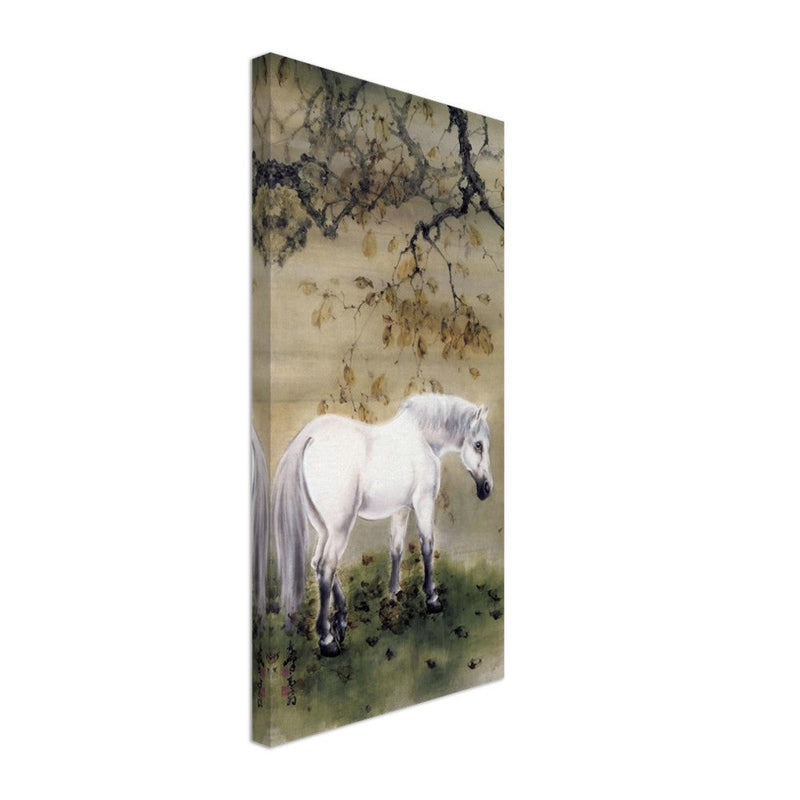 White horse by Gao Qifeng.