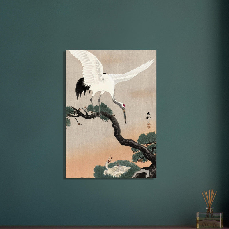 Japanese crane on pine branch by Ohara Koson