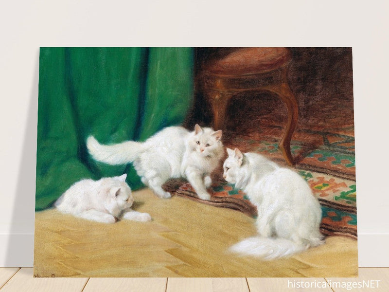 Three white cats playing old painting by Arthur Heyer.