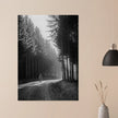 World War 2 poster. American soldier walking along forest near Bastogne .