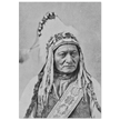 Sitting Bull native american leader.