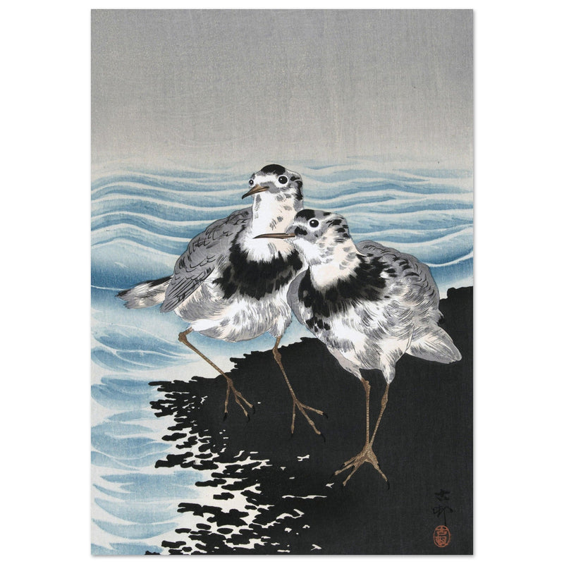 Great knot sandpipers by Ohara Koson woodblock print reproduction