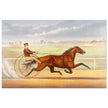 Harness horse racing lithograph. Mr. Bonner's Horse Joe Elliott by John Cameron.