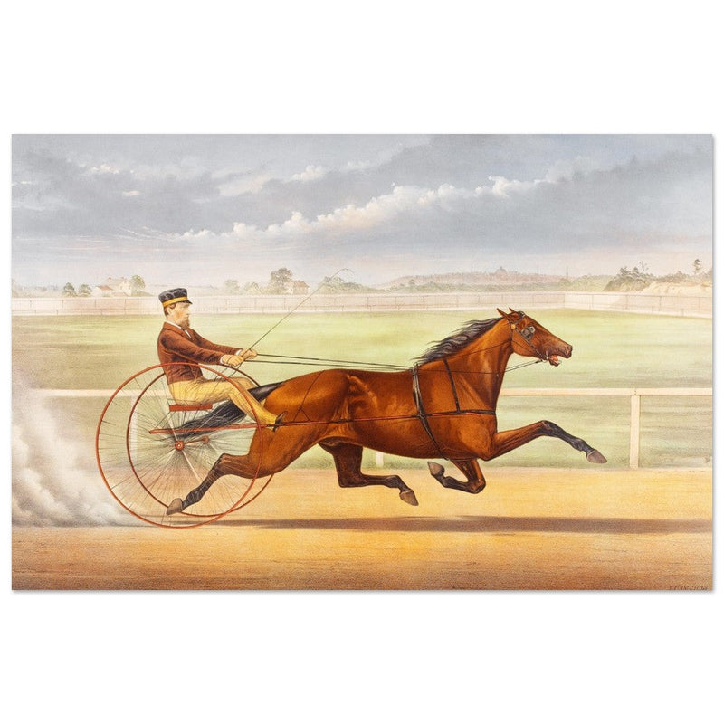Harness horse racing lithograph. Mr. Bonner's Horse Joe Elliott by John Cameron.