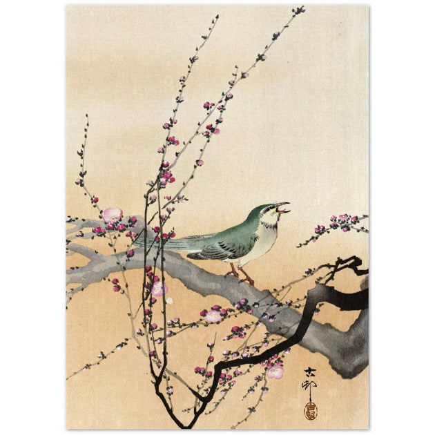 Songbird and plum blossom by Ohara Koson.