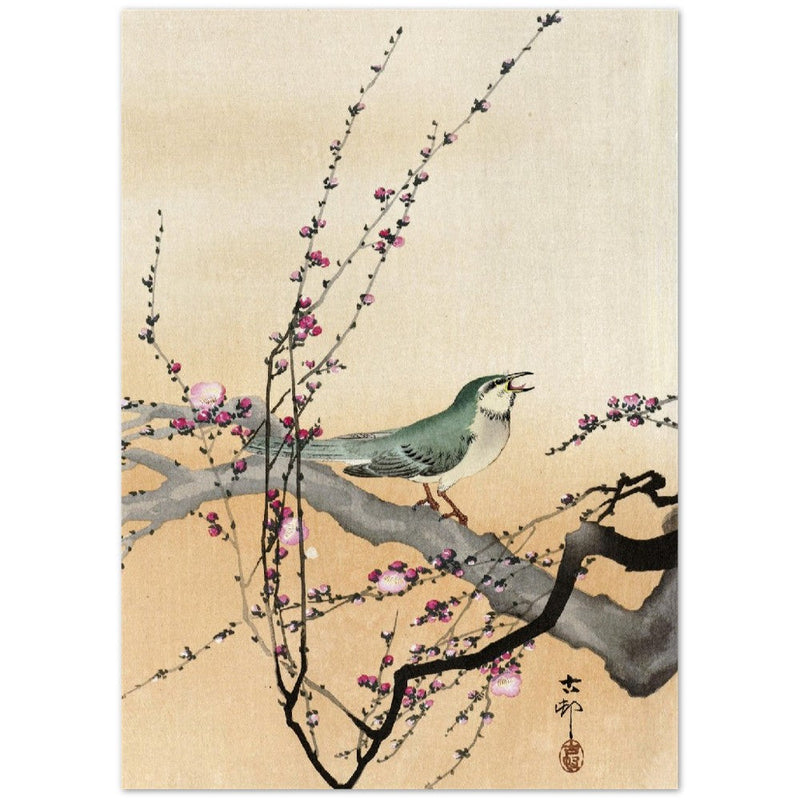 Songbird and plum blossom by Ohara Koson.