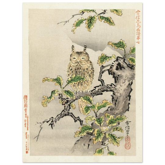 Owl on branch by Kano Tsunenobu, 1893.