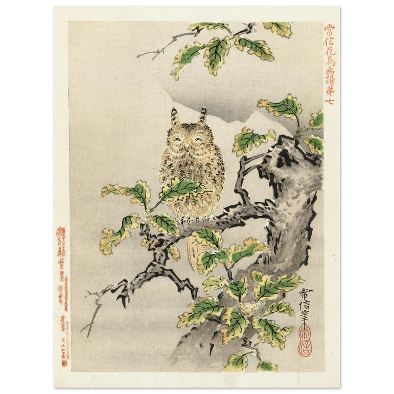 Owl on branch by Kano Tsunenobu, 1893.