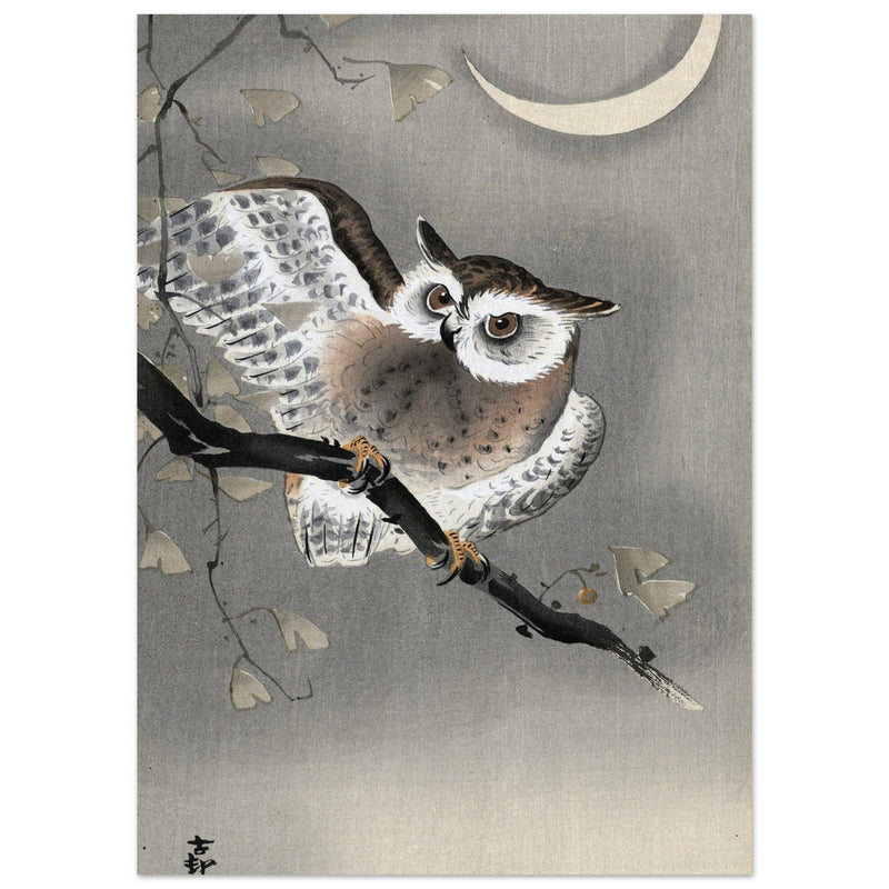 Long-eared owl in ginkgo by Ohara Koson, ,