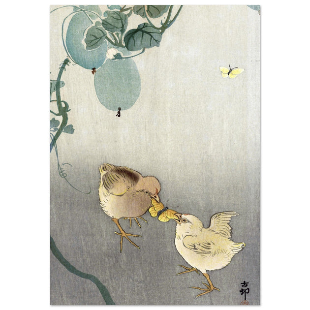 Two chicks fighting over butterfly by Ohara Koson Woodblock print
