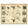 Mammiferous animal distribution old map  poster 1848 by Alexander Keith Johnston