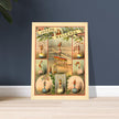 Old vintage circus print reproduction. Joseph Wallenda acrobat.