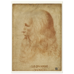 Portrait of Leonardo da Vinci by anonimous artist 1510-1530 .
