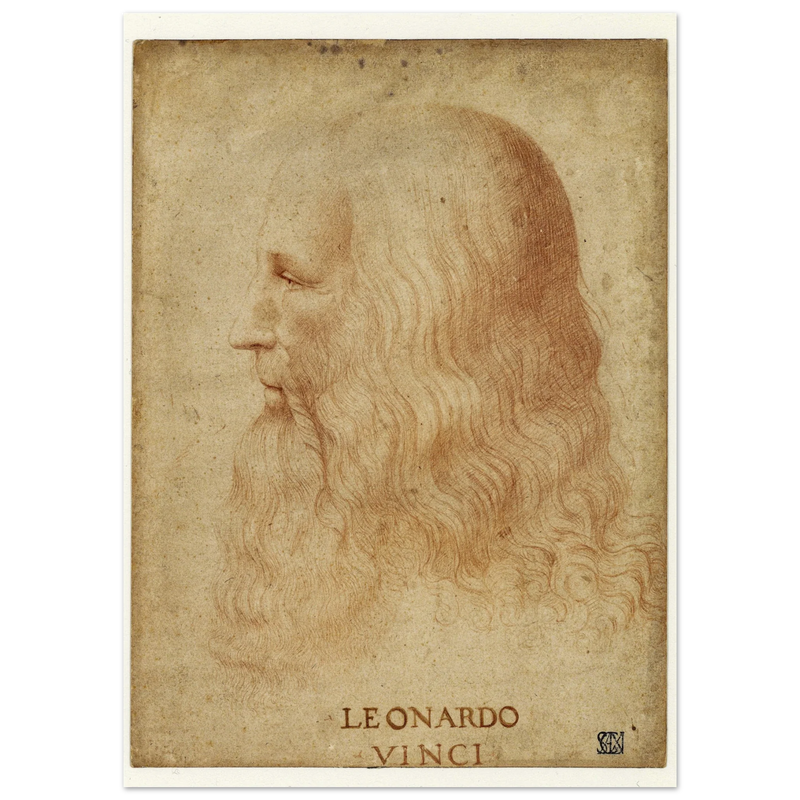 Portrait of Leonardo da Vinci by anonimous artist 1510-1530 .