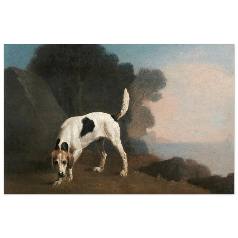 Foxhound dog painting by George Stubbs 1760 .