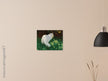 White Cat and Butterflies old painting by Arthur Heyer .