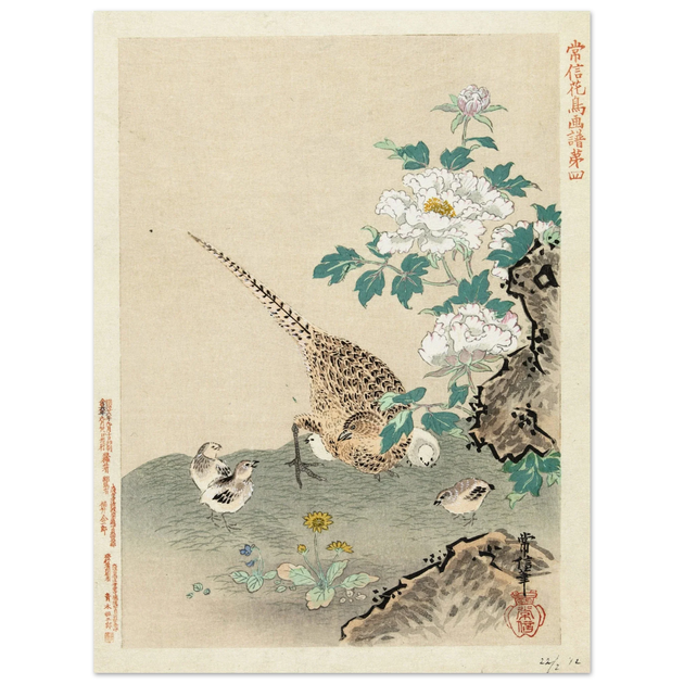 Quail with chicks by Kano Tsunenobu, 1893.