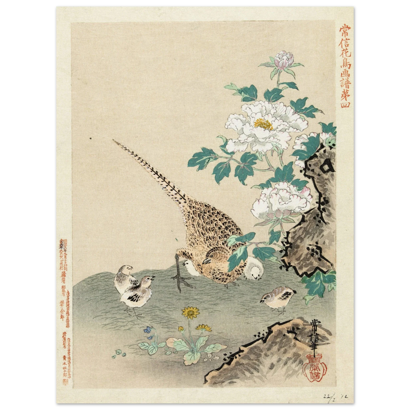 Quail with chicks by Kano Tsunenobu, 1893.