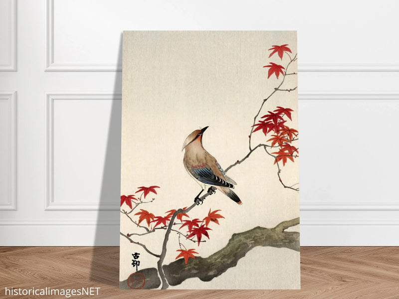 Japanese waxwing on maple by Ohara Koson