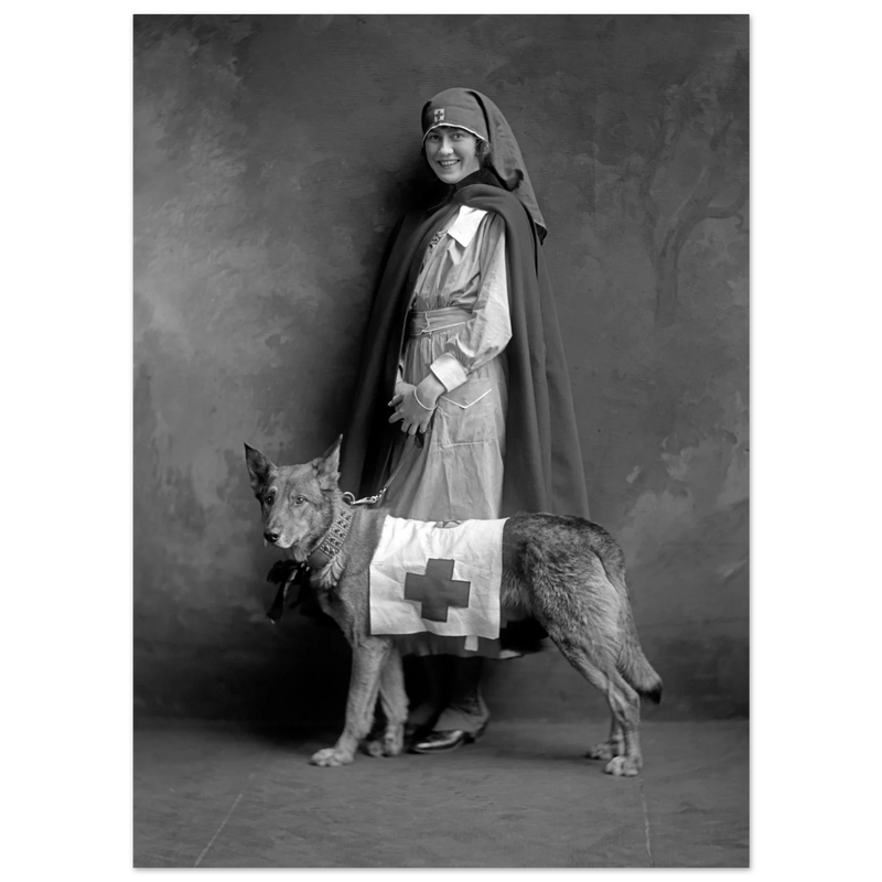 Red Cross nurse with dog poster reproduction by Harris & Ewing 1915-1918