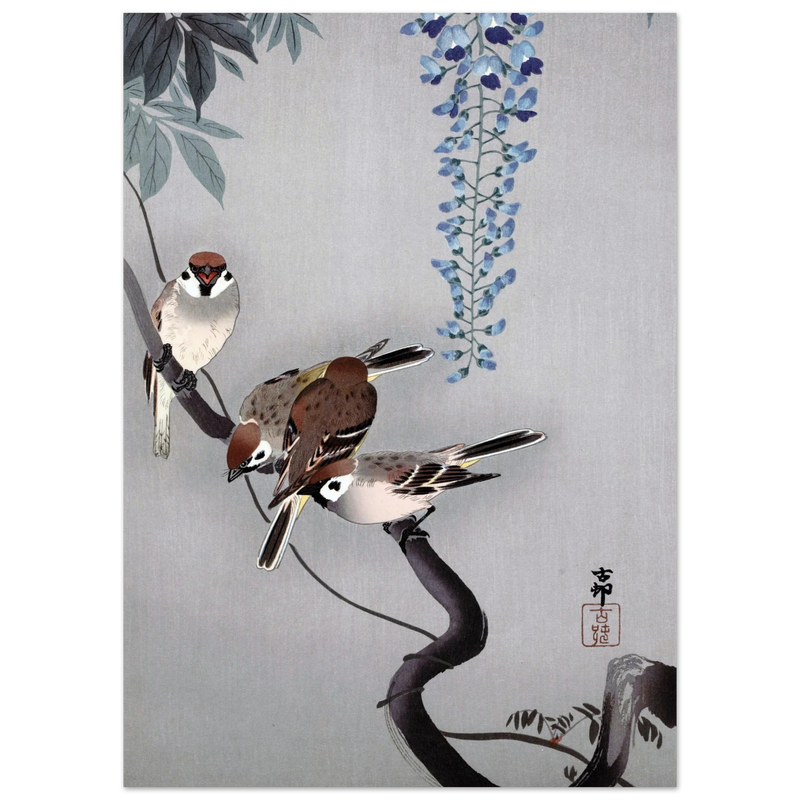 Ring sparrows at wisteria by Ohara Koson