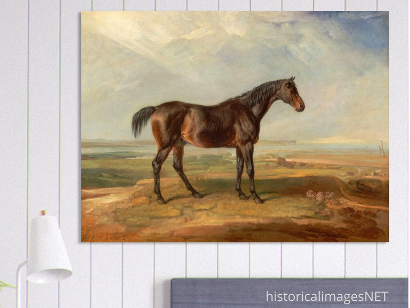 Old painting of brown horse by James Ward 1820.