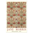 Jane Morris Honeysuckle embroidery.