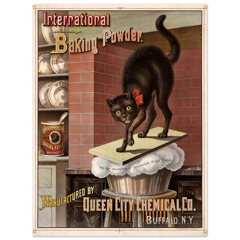 Vintage black cat Baking powder advertisement print 1885