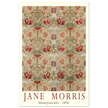 Jane Morris Honeysuckle embroidery.