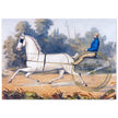 Grey Eagle horse cart antique lithograph by Nathaniel Currier.