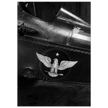 Eagle emblem on airplane Vintage aircraft old photograph reproduction