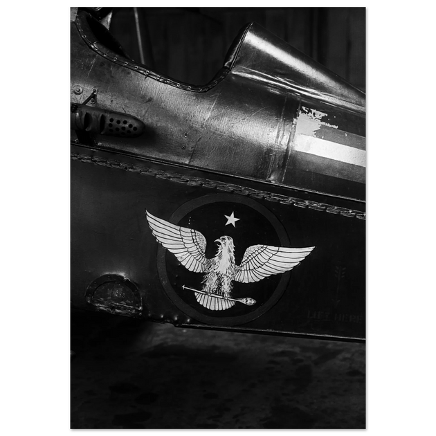 Eagle emblem on airplane Vintage aircraft old photograph reproduction
