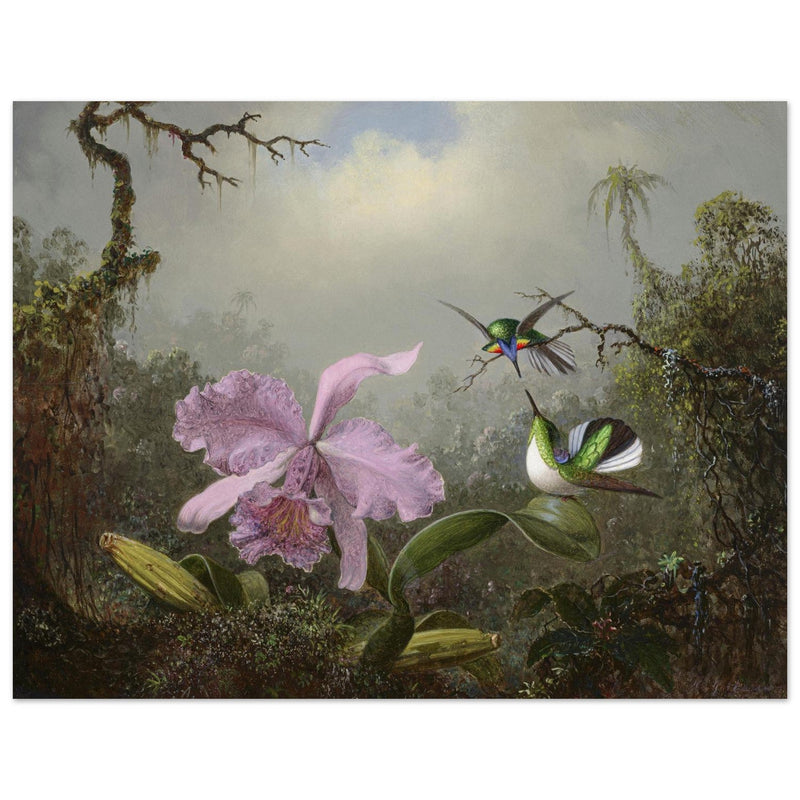 Cattleya Orchid with Two Brazilian Hummingbirds by Martin Johnson Heade