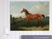 A Bay Horse in a Field by Edmund Bristow old painting 1825.