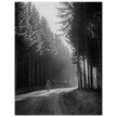 World War 2 poster. American soldier walking along forest near Bastogne .