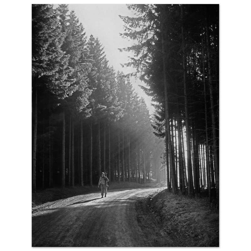 World War 2 poster. American soldier walking along forest near Bastogne .