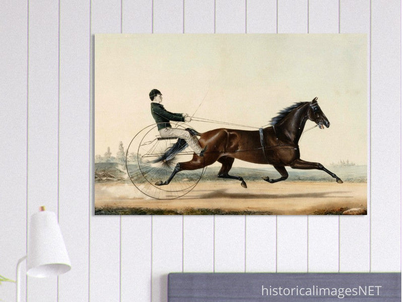 Racehorse Mac by  Nathaniel Currier 1853.