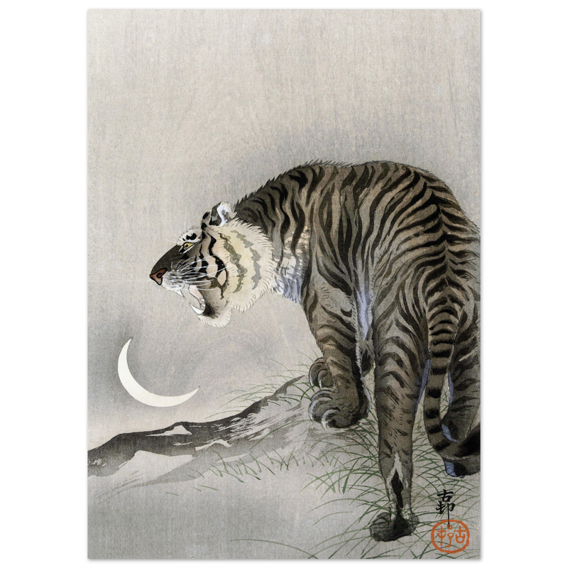 A Roaring tiger by Ohara Koson  woodblock print reproduction