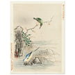 Kingfisher looking at bird near water by Kano Tsunenobu, 1893 .
