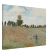 Poppy Field by Claude Monet
