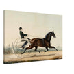 Racehorse Mac by  Nathaniel Currier 1853.