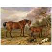 Old painting of horses by James Ward 1835. Portrait of Reformer, Blucher, Tory and Crib.