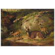 Doe and Two Fawns by Arthur Fitzwilliam Tait  1882. Deer inside forest.