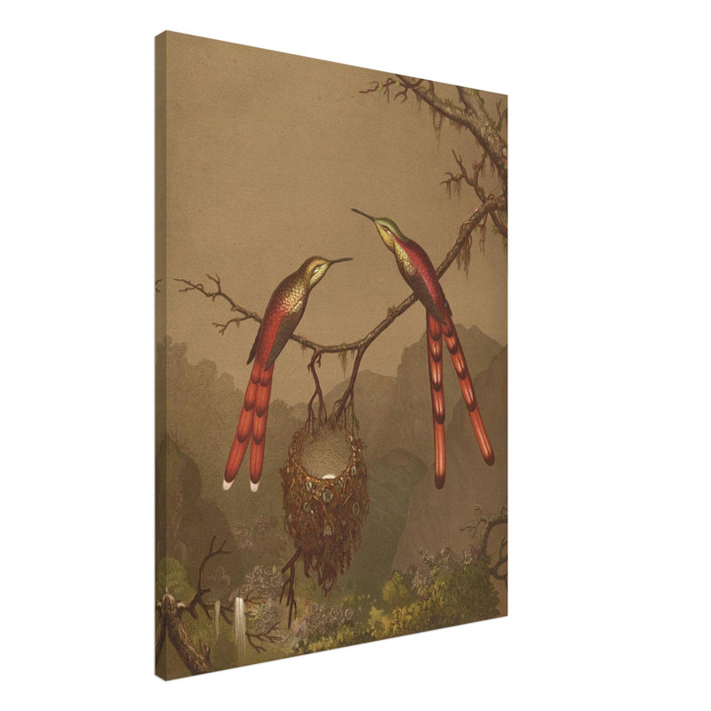 Brazilian Hummingbirds I by Martin Johnson Heade